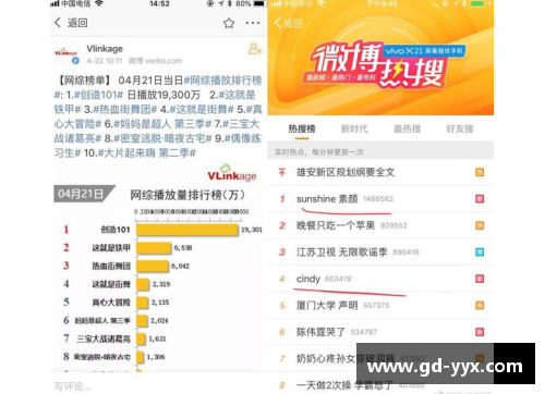 体育明星网红引领潮流风尚 专家解析影响力与市场趋势