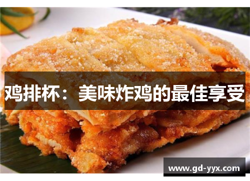 鸡排杯：美味炸鸡的最佳享受