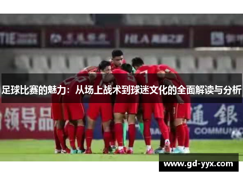 足球比赛的魅力：从场上战术到球迷文化的全面解读与分析